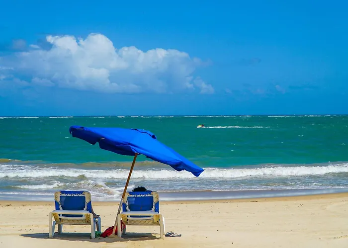 Aire De Olive